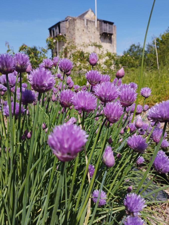 فندق Domaine De La Ferte Clairbois Sainte-Suzanne  المظهر الخارجي الصورة