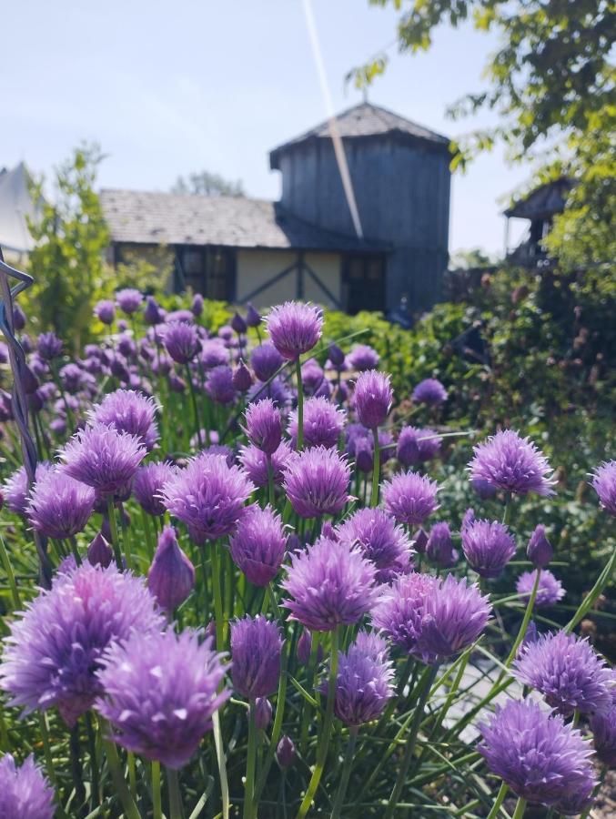 فندق Domaine De La Ferte Clairbois Sainte-Suzanne  المظهر الخارجي الصورة